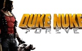 Duke-nf-banner