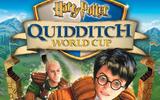 Harry_potter_quidditch_world_cup-3