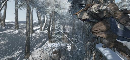 Assassin's Creed III - Семь вещей, которые убрали из игры + новые скриншоты